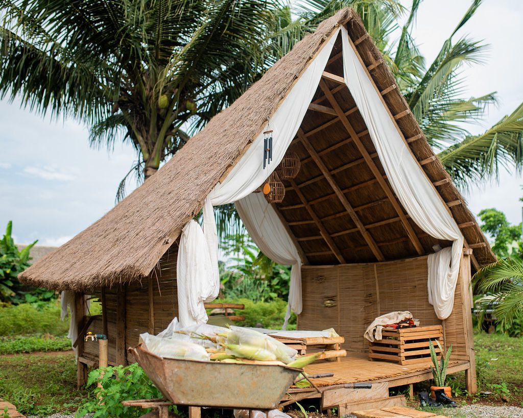 A thatched cabin with a wheelbarrow of fresh corn